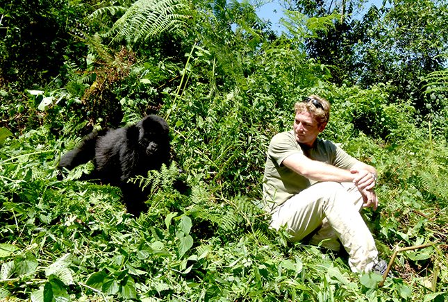 Close encounter with a young Mountain Gorilla - Tropicair